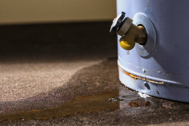 Best Water damage contractors near me  in Shady Hollow, TX