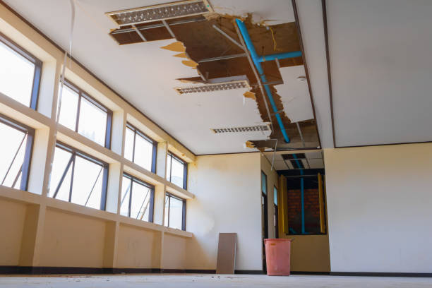 Best Water damage restoration services  in Shady Hollow, TX