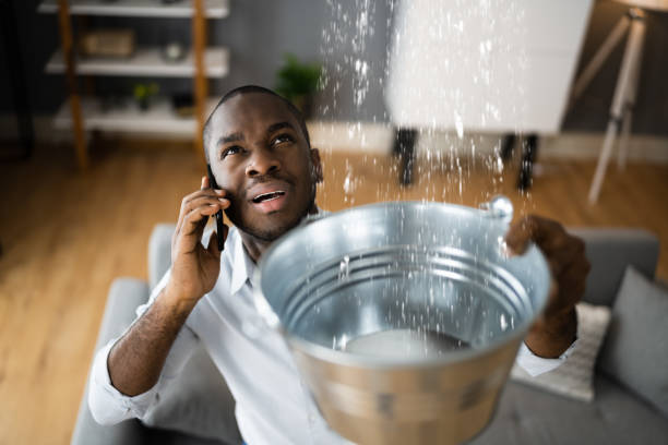 Best Water damage restoration near me  in Shady Hollow, TX