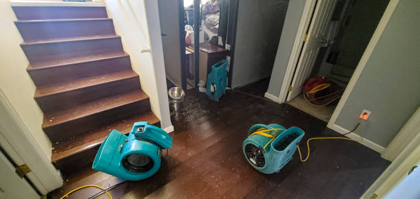 Best Flood restoration services  in Shady Hollow, TX