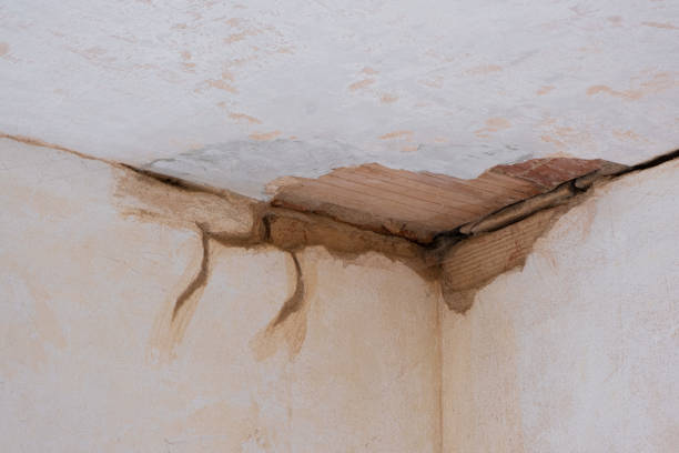 Best 24/7 water damage repair  in Shady Hollow, TX