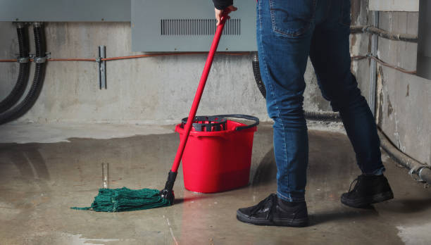 Best Residential water damage restoration  in Shady Hollow, TX