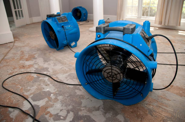 Best Flooded house restoration  in Shady Hollow, TX
