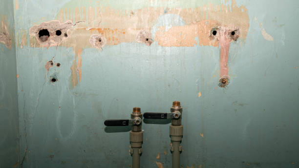 Fire Damage Restoration in Shady Hollow, TX