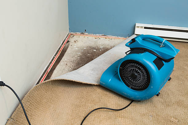 Best Flooded house restoration  in Shady Hollow, TX